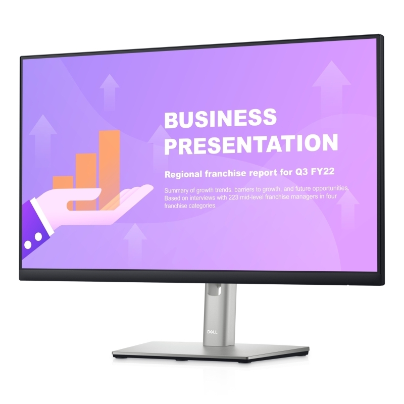 Dell 24 Monitor P2422HE
