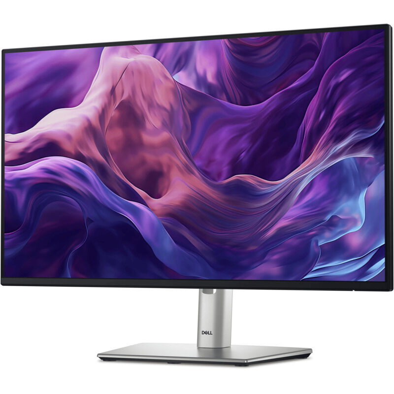 Dell 24 Monitor P2425HE