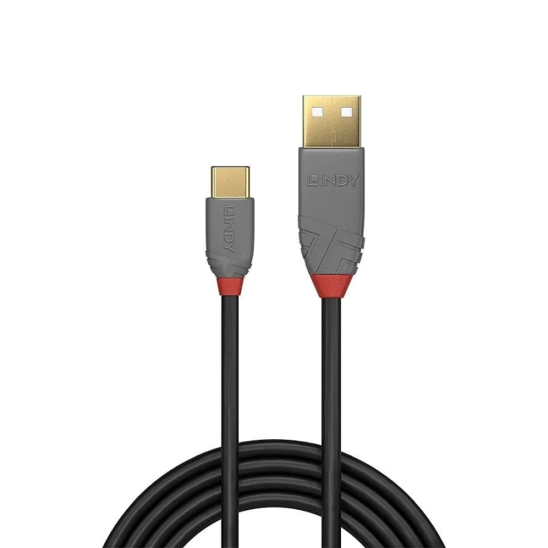 Lindy 1.0m USB2 Type A to C