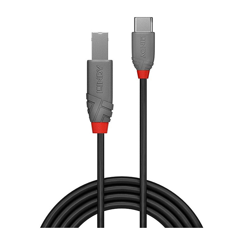 Lindy 3m USB 2.0 Type C to B
