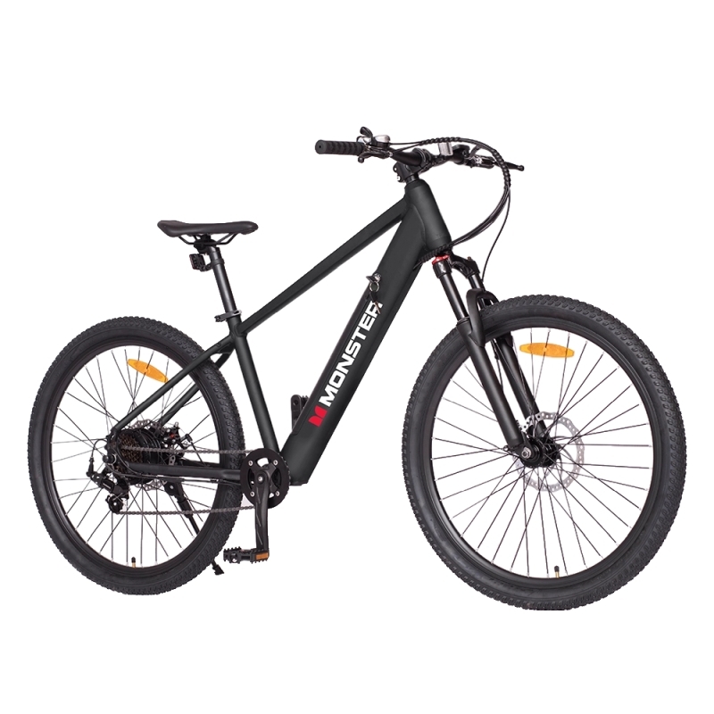 Monster E Mountain Bike