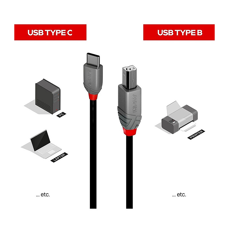 Lindy 3m USB 2.0 Type C to B