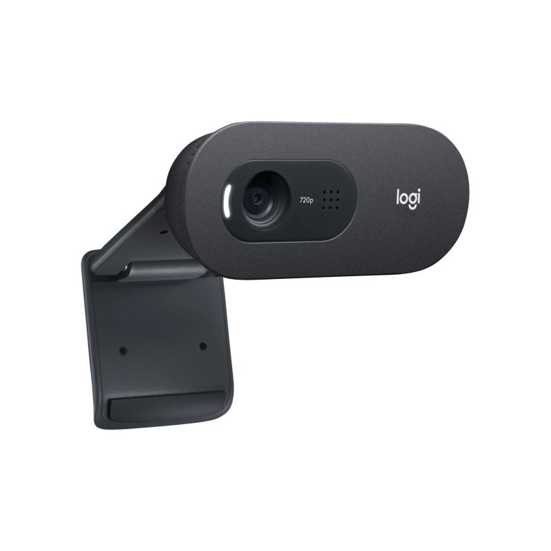 Logitech C505 Webcam