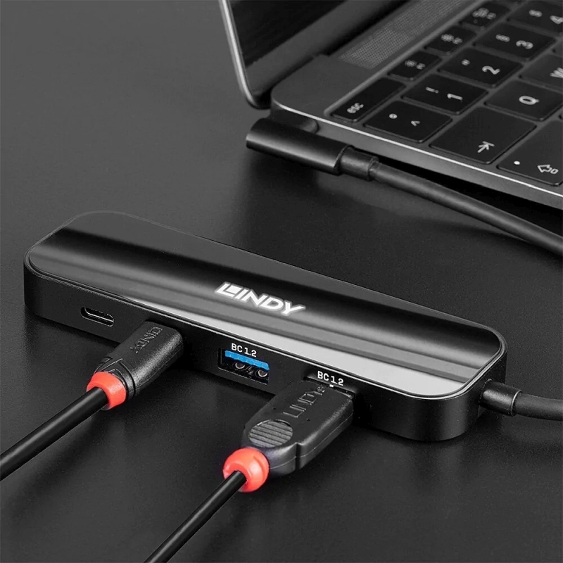 Lindy 4 Port USB 3.1 C Hub