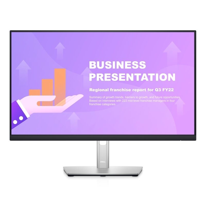 Dell 24 Monitor P2422HE
