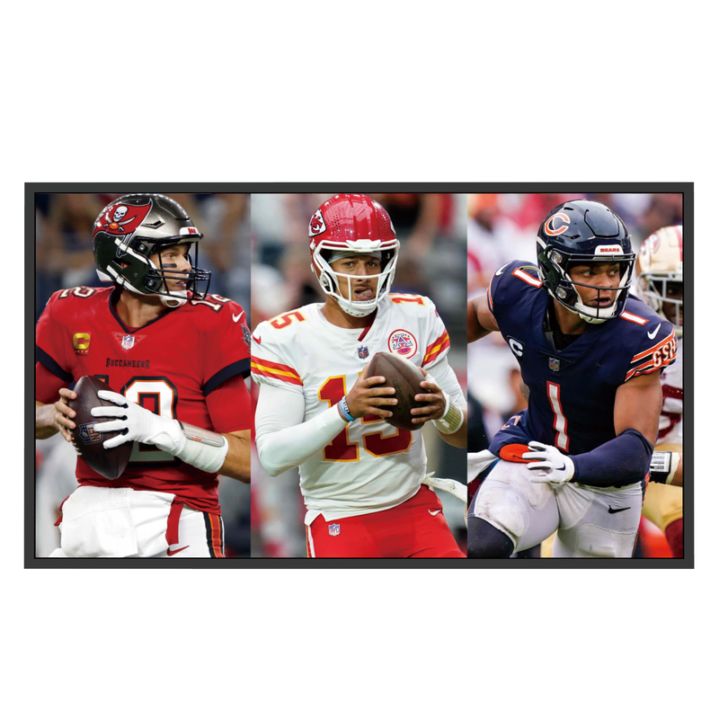 Mitsumaru Outdoor TV IP65 55''