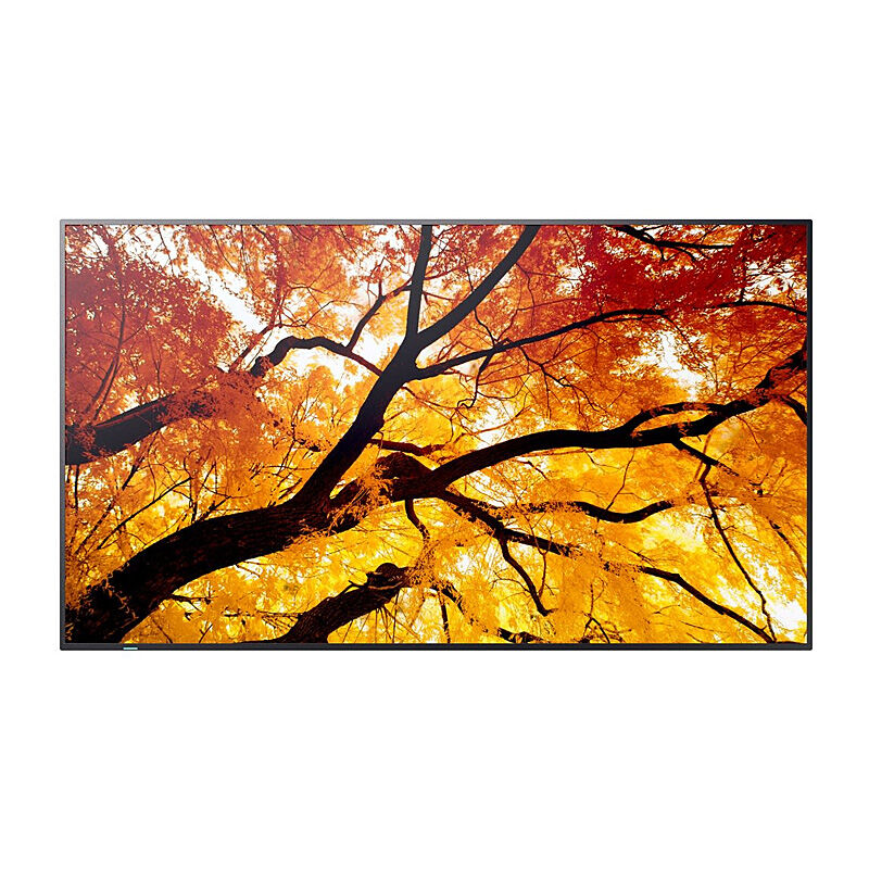 SHARP M-series 65'' Display