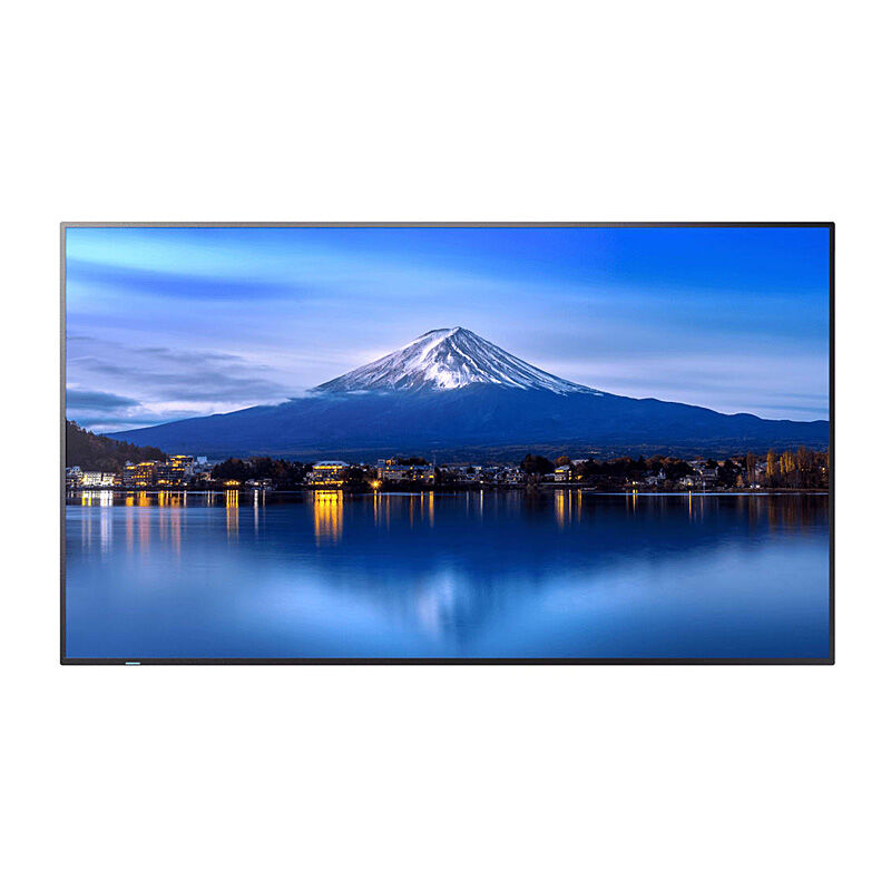 SHARP P-series 65'' Display